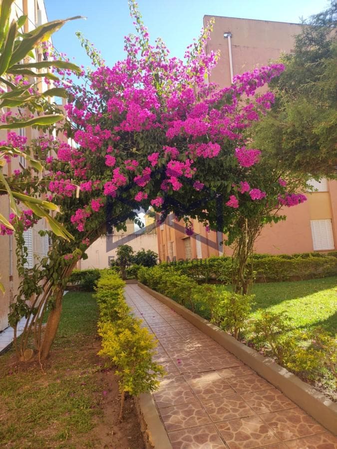 Foto principal do anúncio