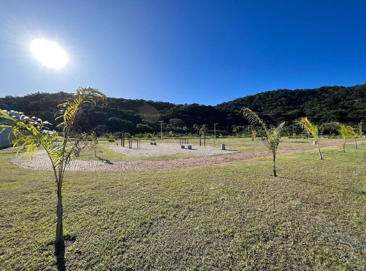 xaroz7-iP65934t2vk5_40652690101d8bfc27.jpg