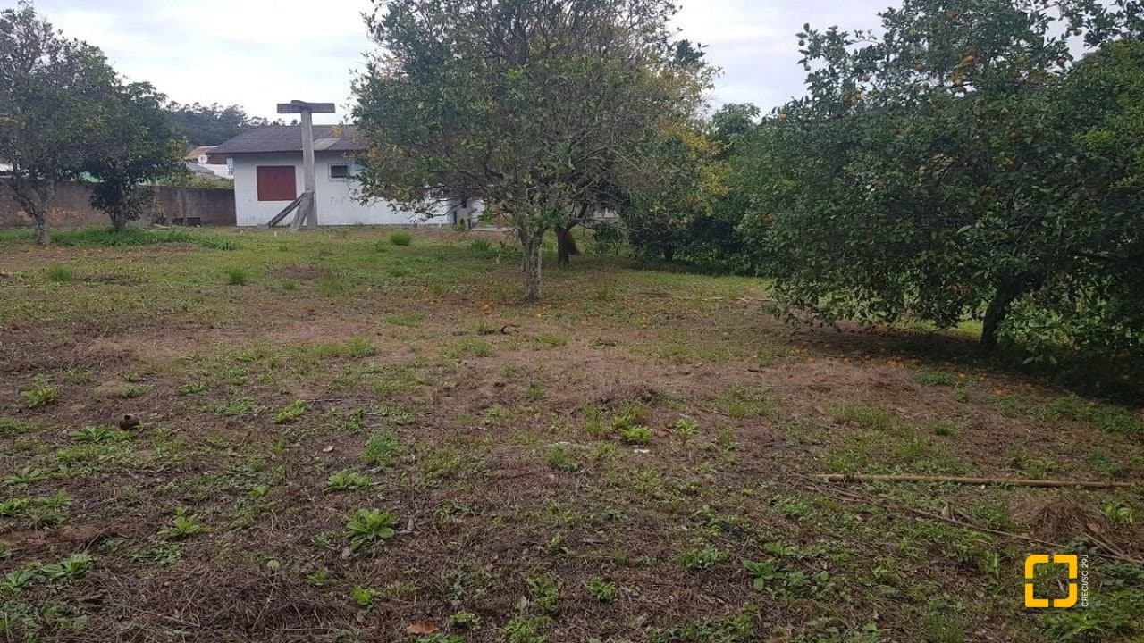 Foto do anúncio número 5