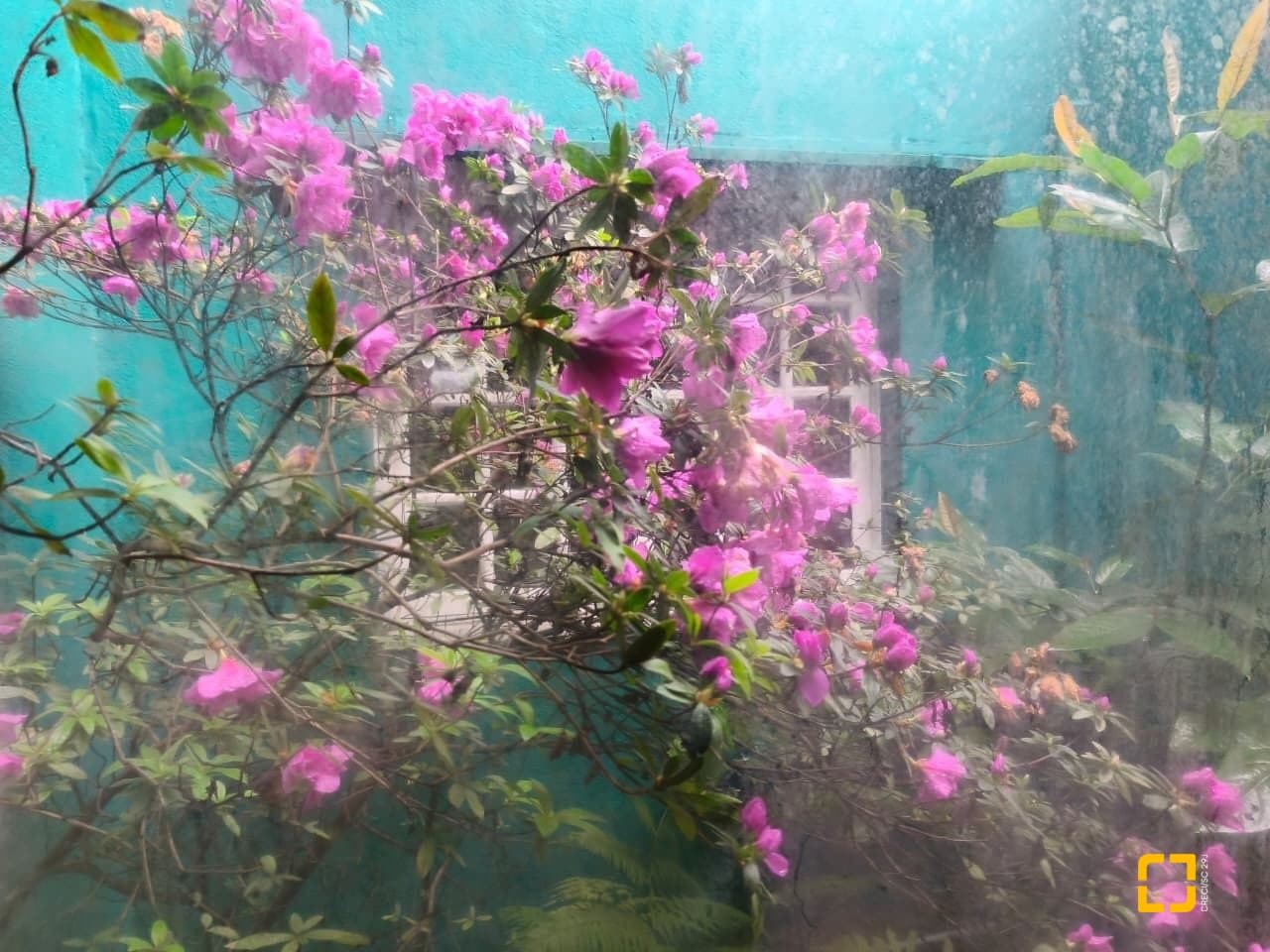 Foto do anúncio número 3