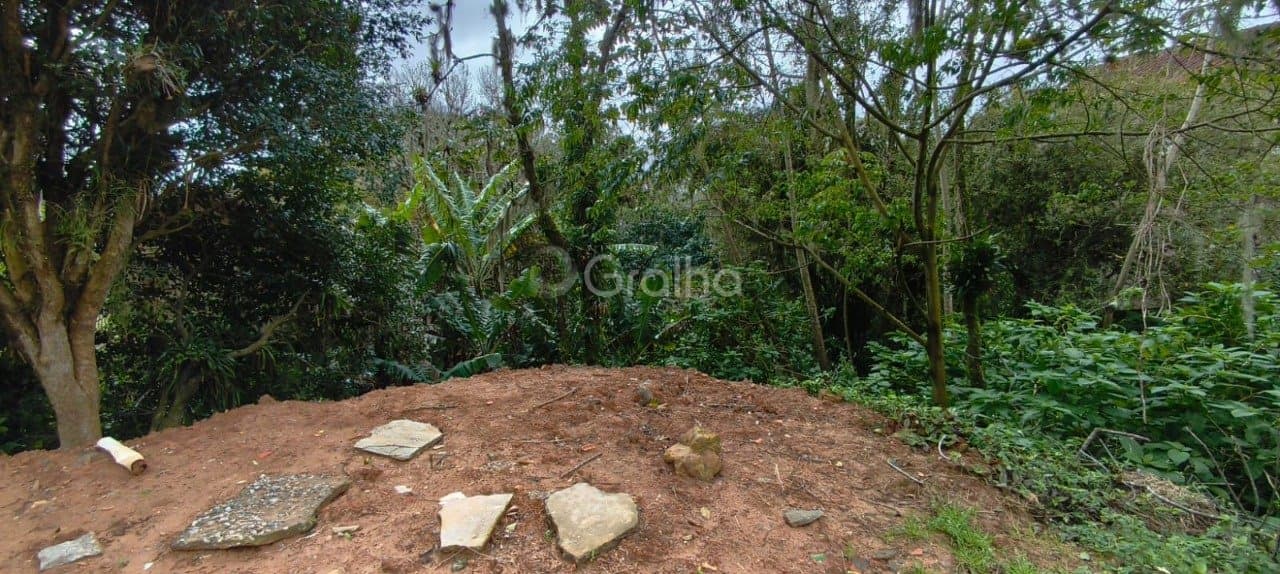 Imagem do anúncio 5