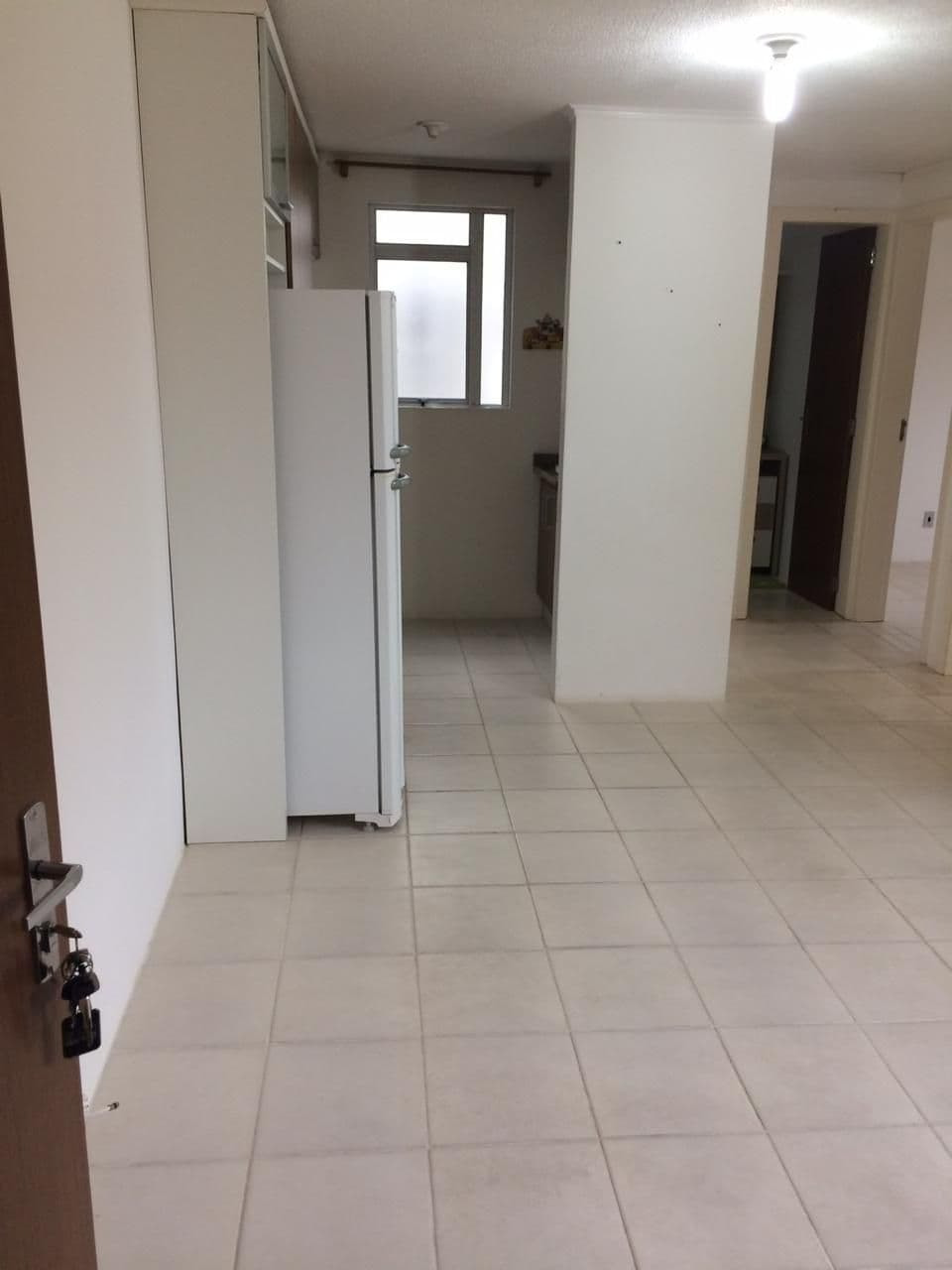 xyblxe-img-5442701