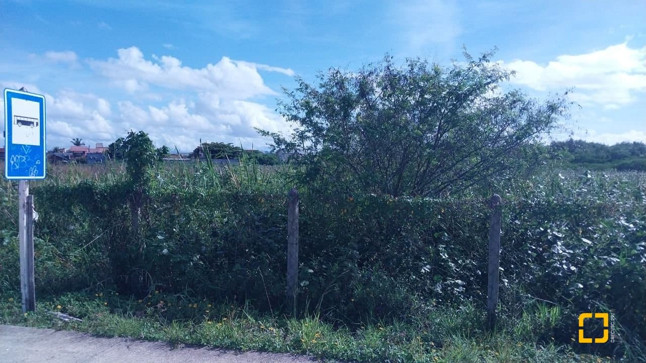 y022l6-i88927c2tQCSuy_54747682757543ed8e.jpg