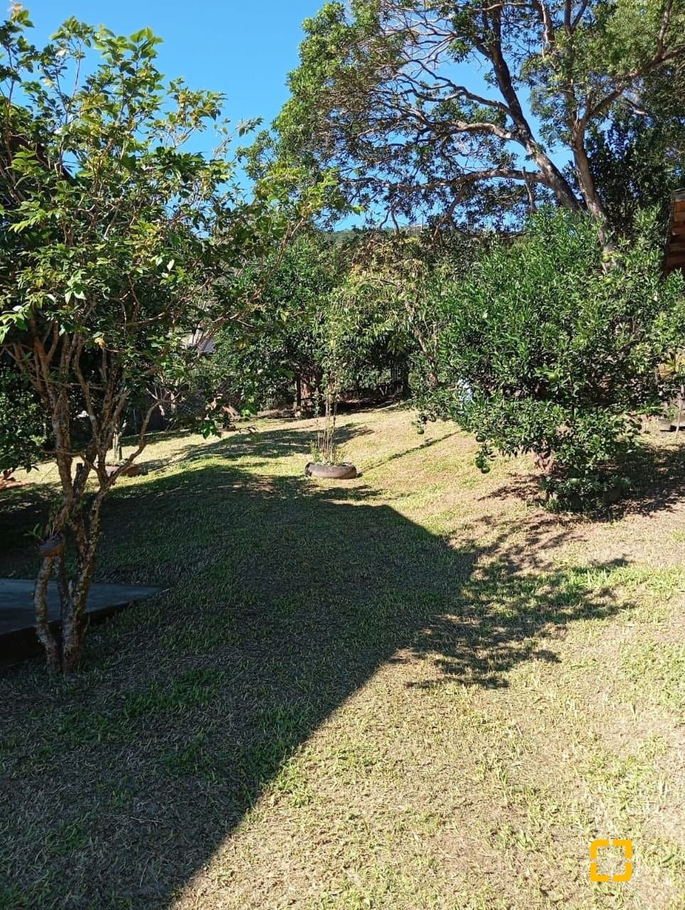 yeat5e-i9D527N19I5d_5670268a61e41e9009.jpg