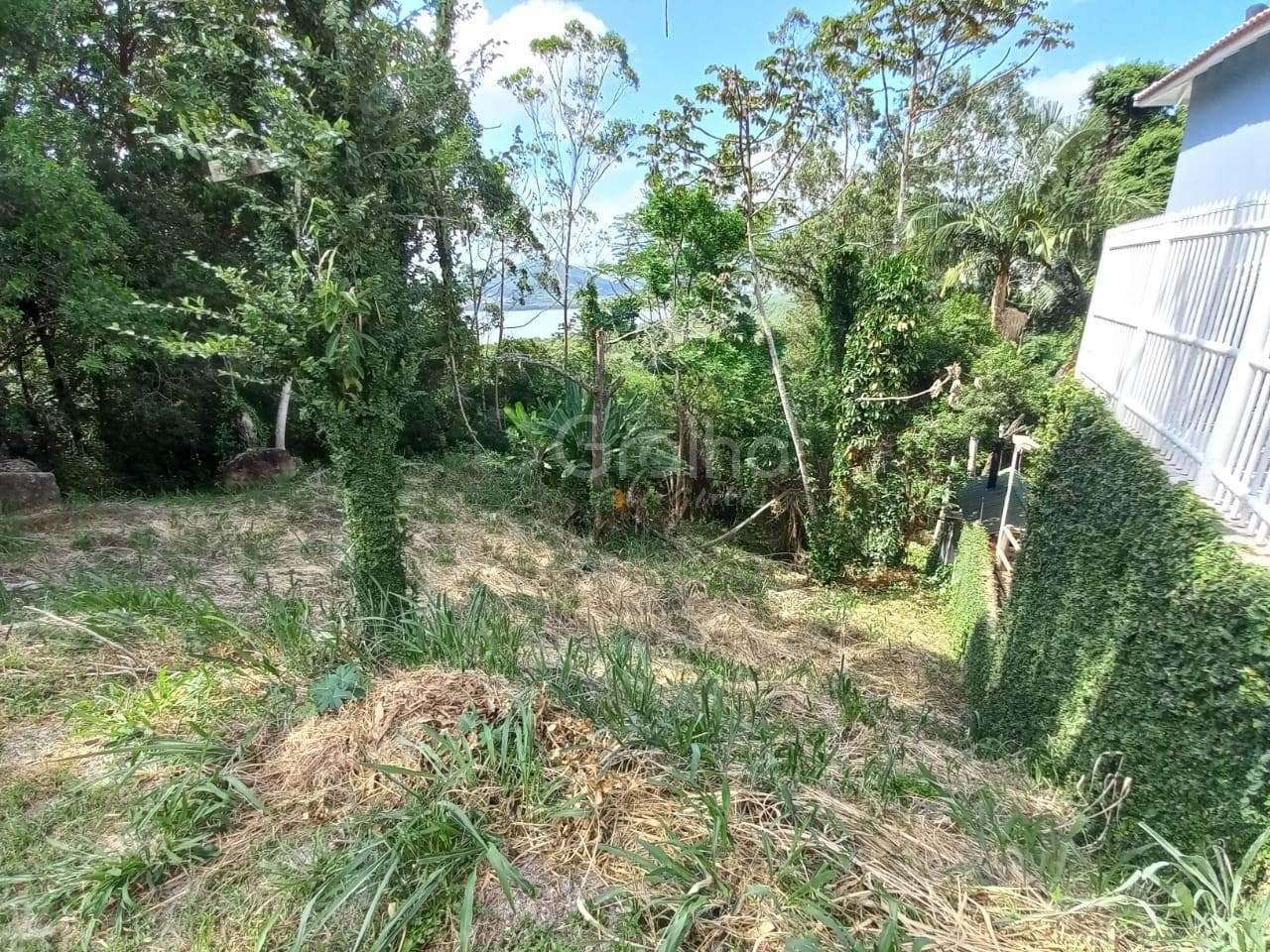 Imagem do anúncio 4