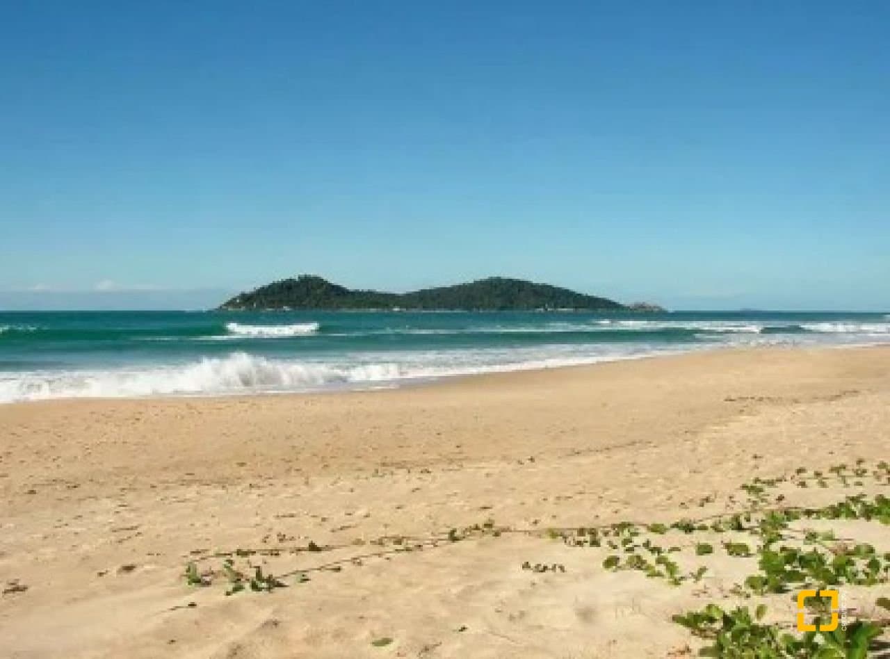 Imagem do anúncio 6