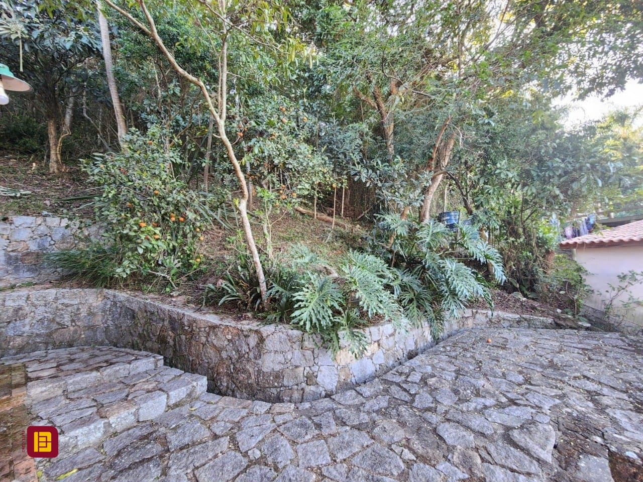 Foto do anúncio número 4