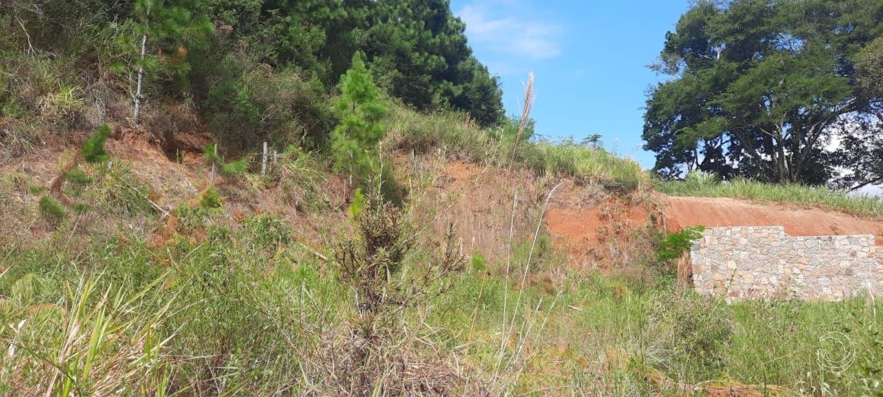 Foto principal do anúncio