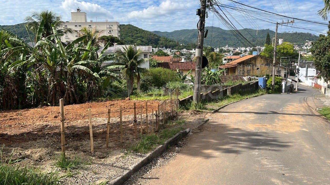Foto do anúncio número 4
