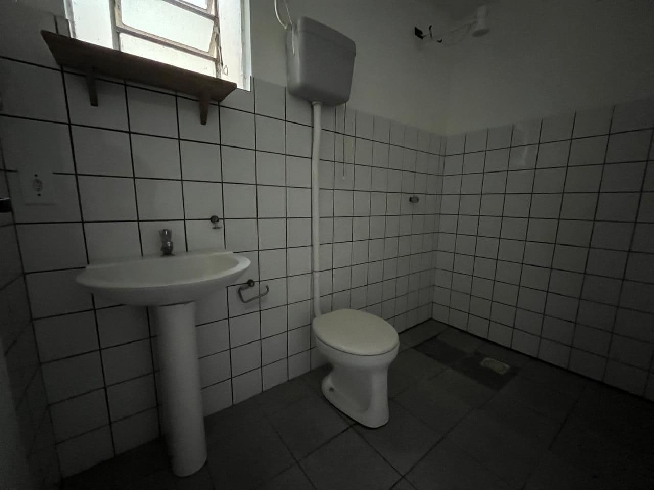 z8fi8-img-52488152
