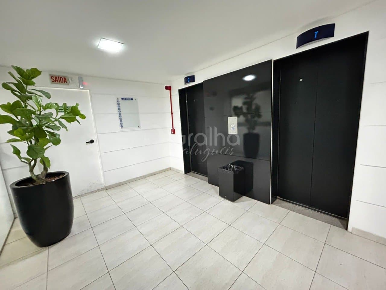 zbb1pl-i8456nXp7r5d8q_28491691b7f4a02ea7.jpg