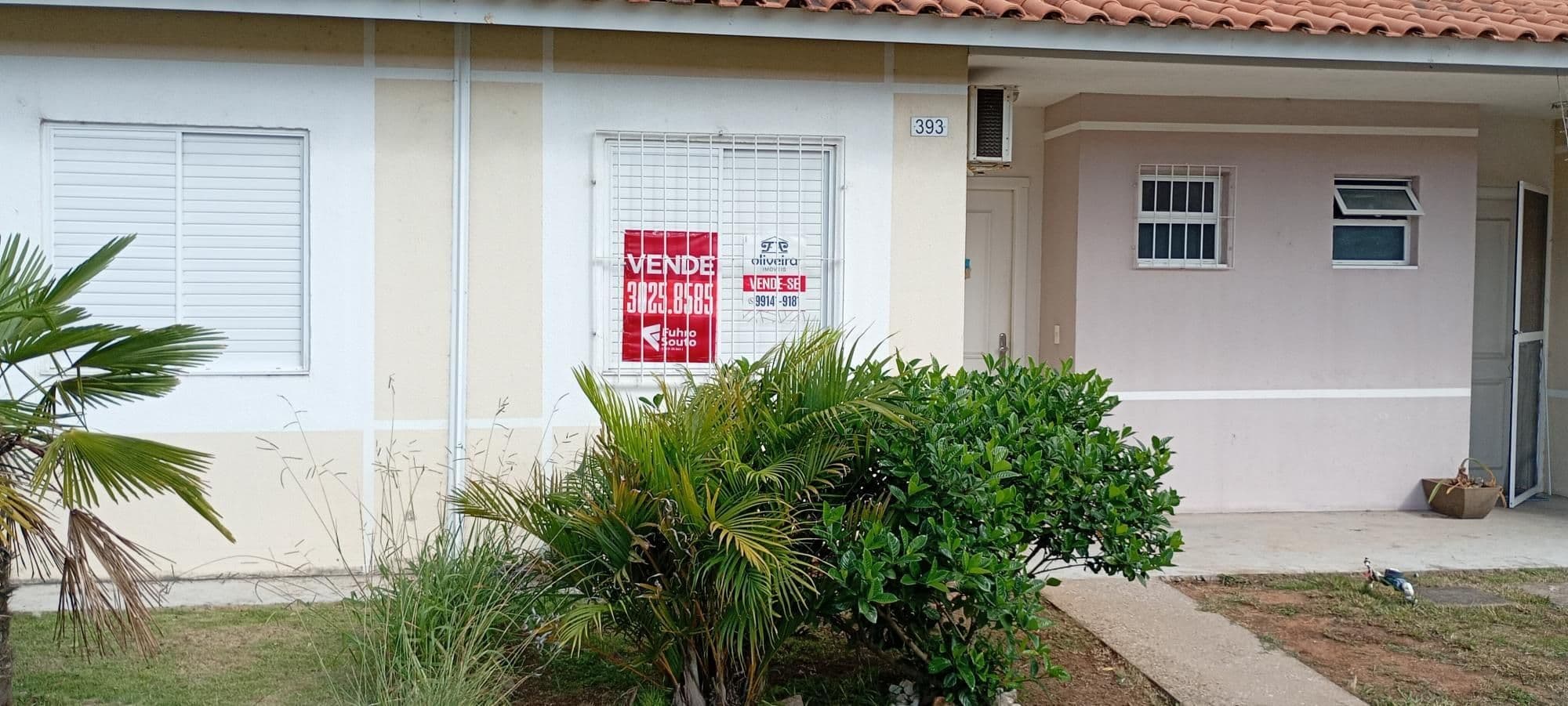 Foto do anúncio número 3