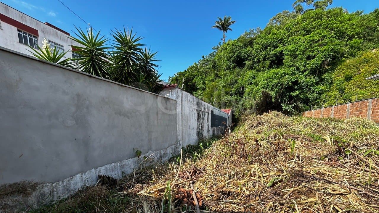 Imagem do anúncio 3