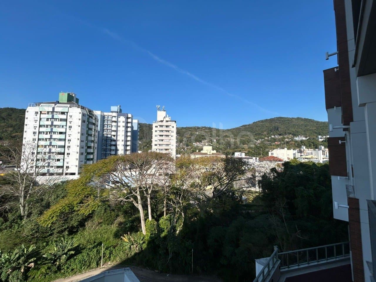 Foto do anúncio número 3