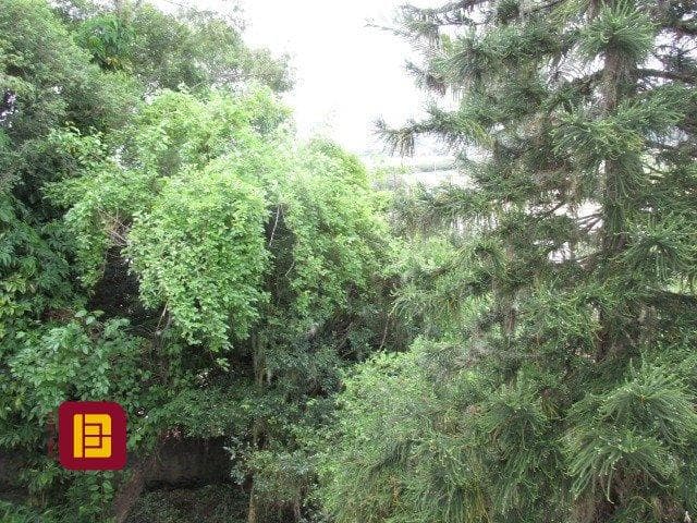 ziohj4-it07YZIWAne14r_4029663fd4bfee32d5.jpg