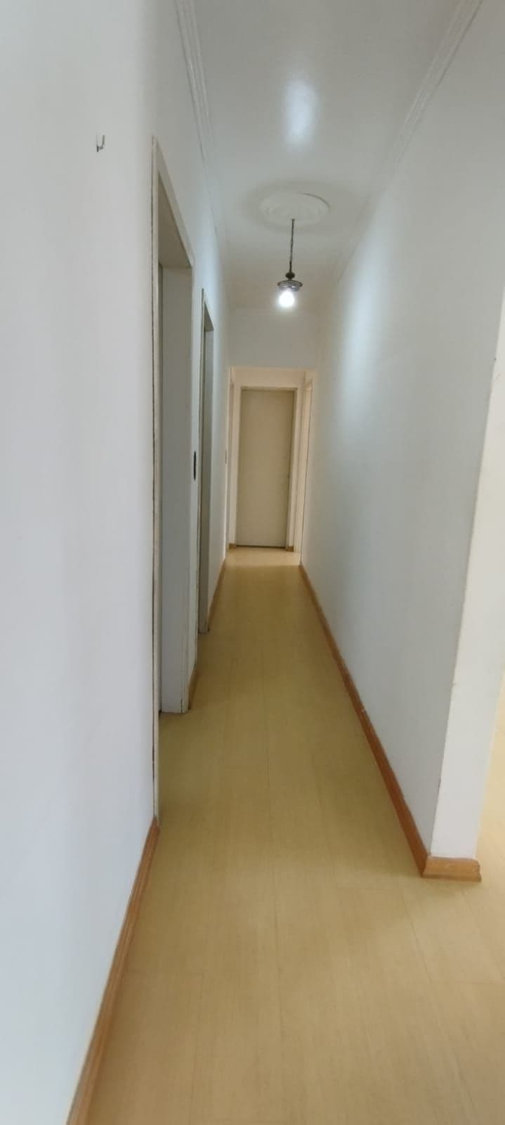 Foto do anúncio número 3