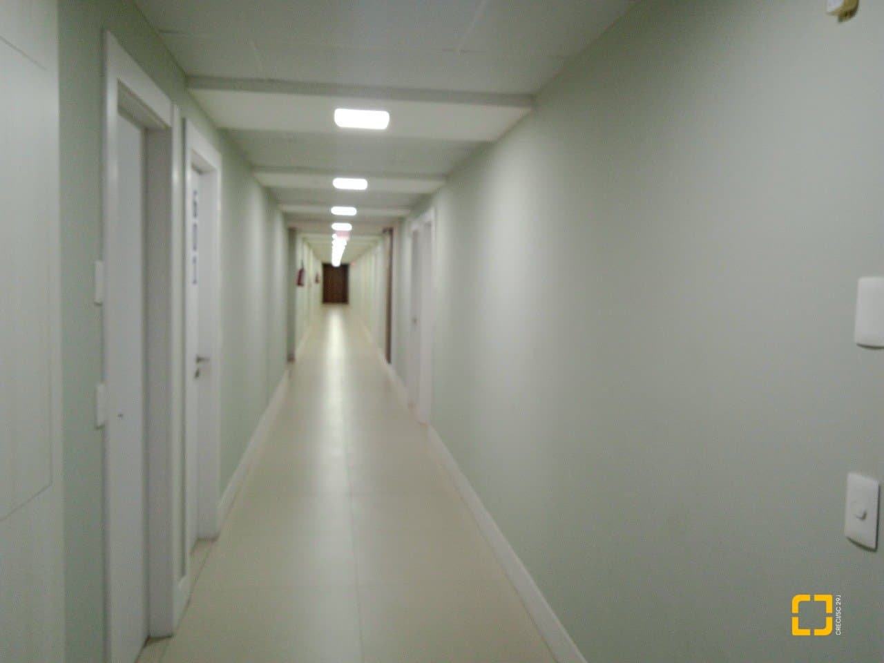 zwwnut-i9Y55S95m9_5740268fbdd64eda11.jpg
