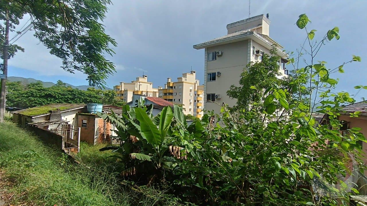 zynqmi-i26T393_3220465b9348b38225.jpg