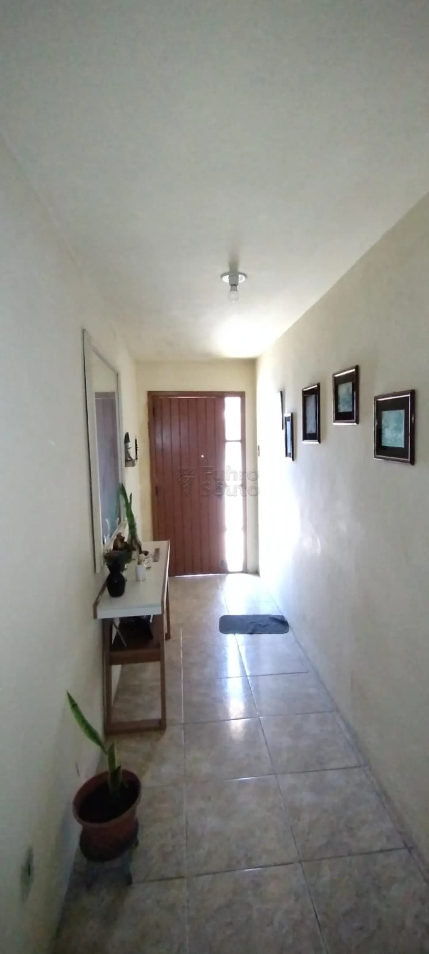 0ezsx2-pelotas-casa-padrao-fragata-04-09-2024_16-04-02-1.webp