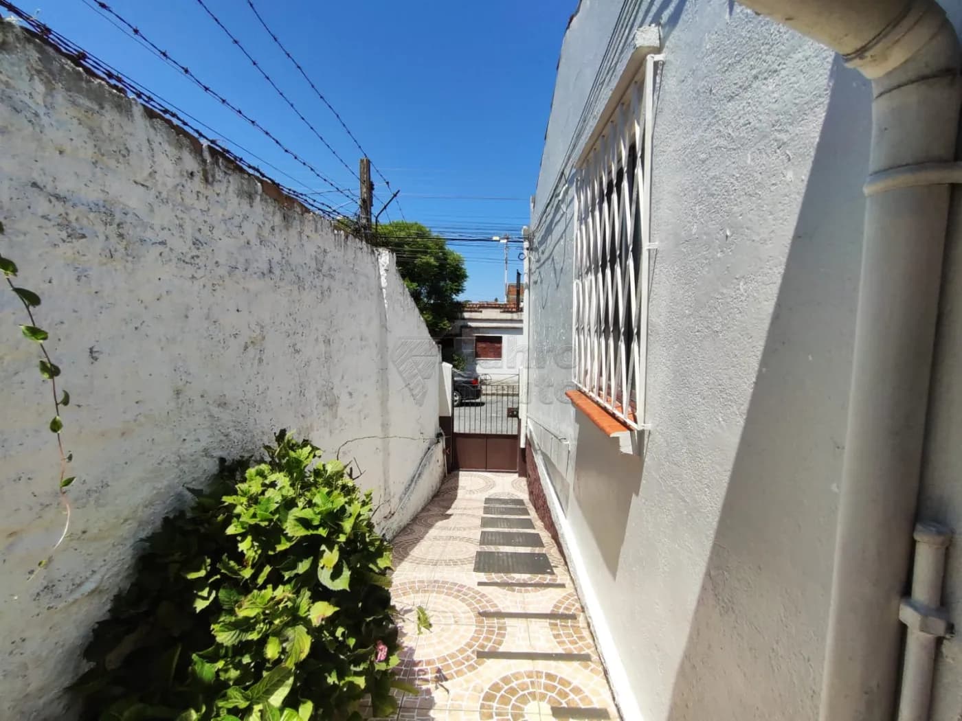 0vcm7s-pelotas-casa-padrao-fragata-06-02-2026_18-08-31-6986584f06d07.webp