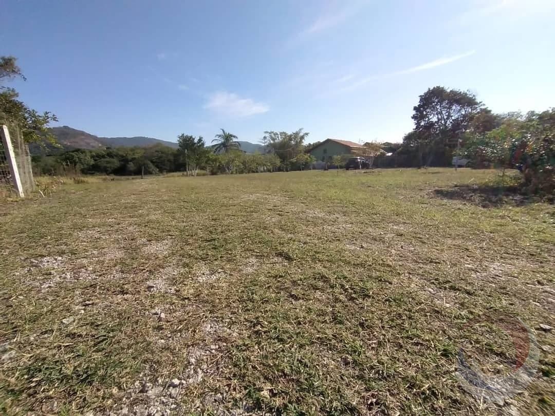 Foto do anúncio número 4