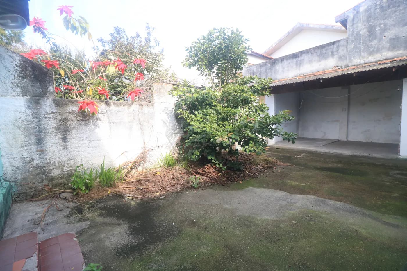 1g6mh-pelotas-casa-padrao-areal-24-06-2026_23-13-49-6a3c8eddd37fe.webp