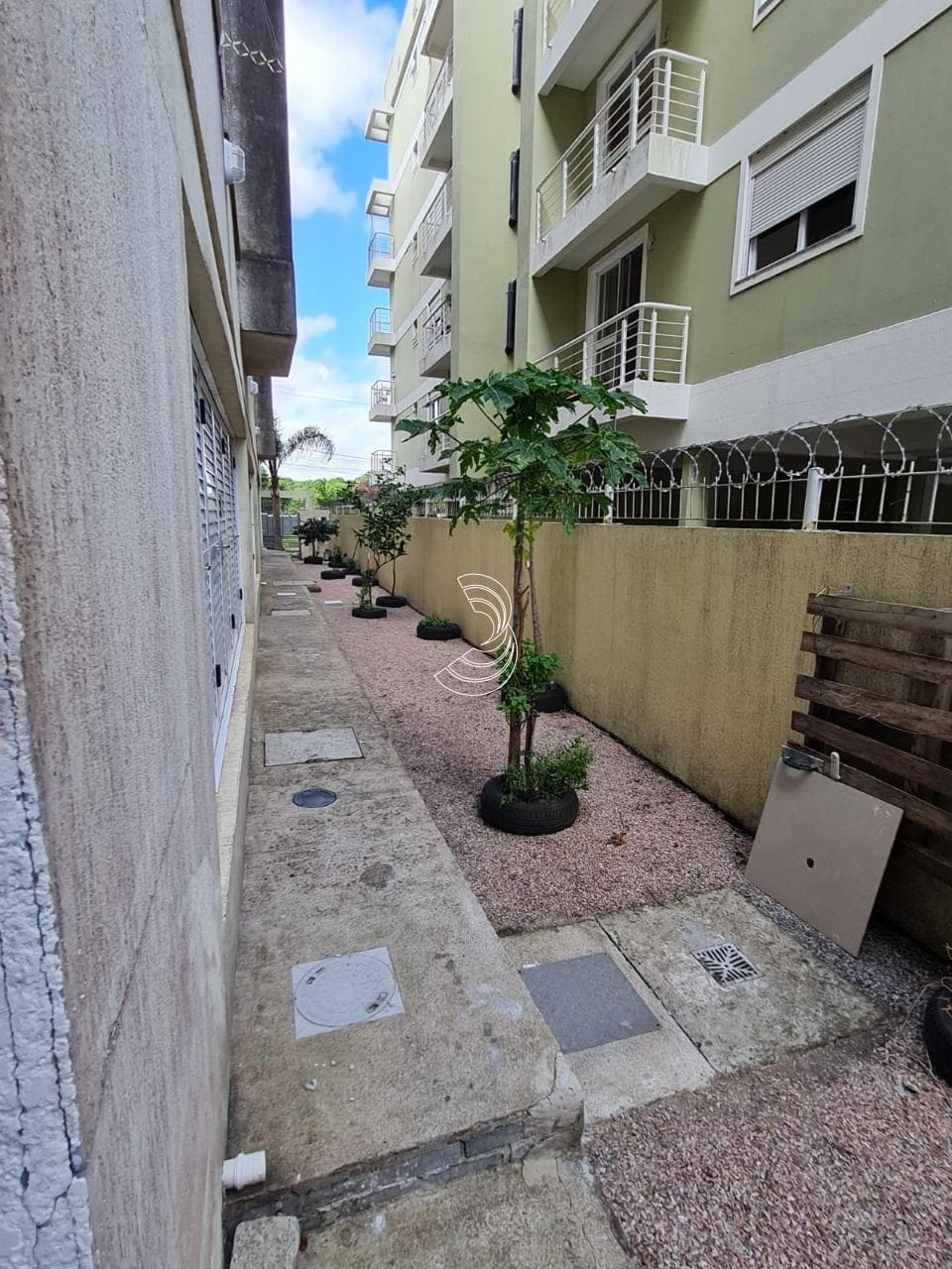 Foto do anúncio número 4