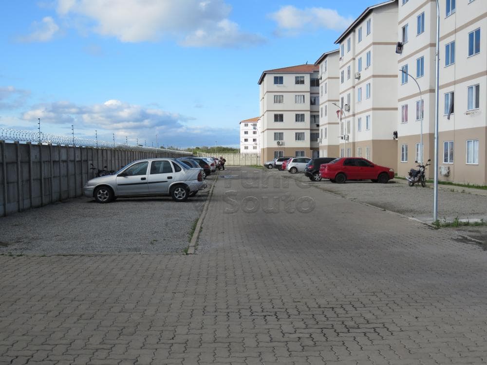 1lk0ws-pelotas-areal-tulipa-manoel-antonio-peres-02-10-2021_00-01-25-10.jpg