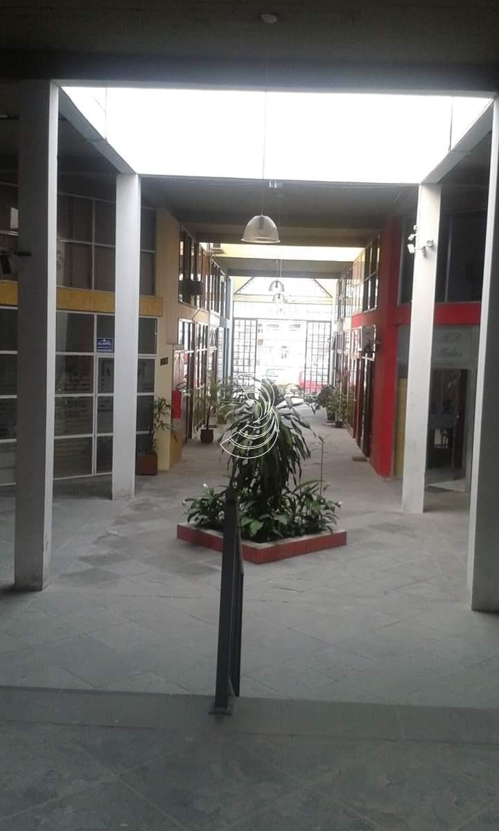 Foto do anúncio número 2