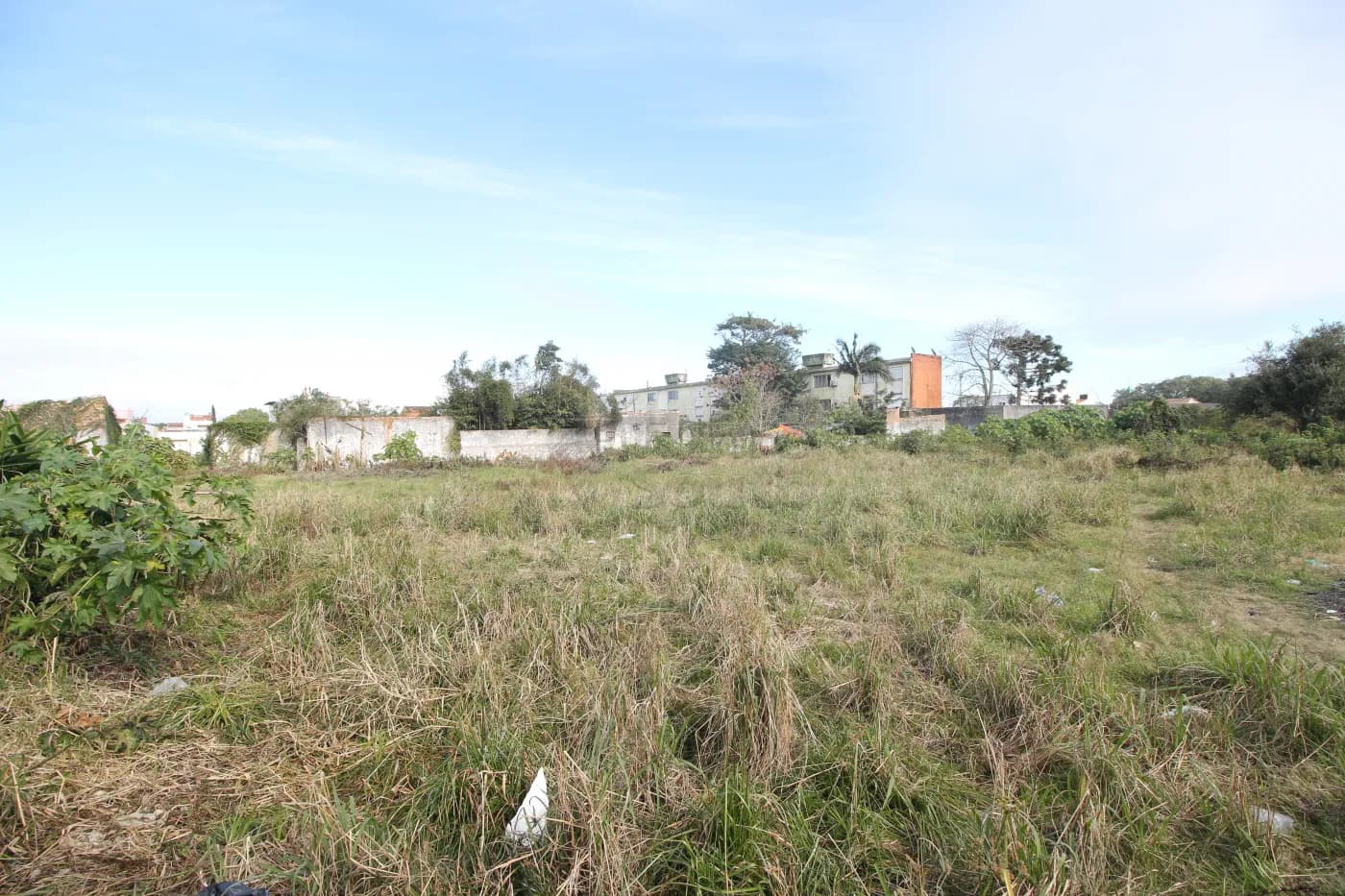 Foto do anúncio número 5