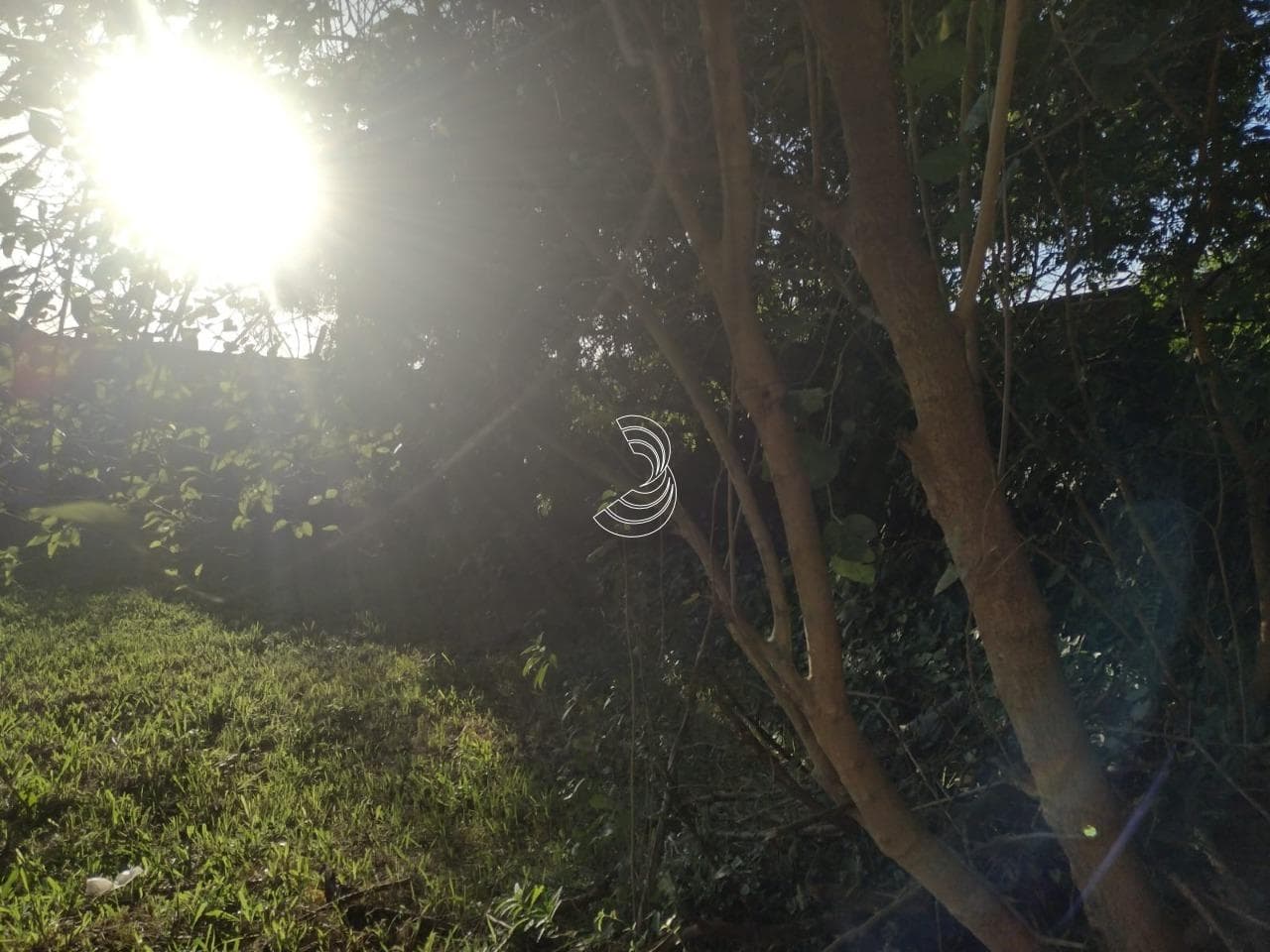 Foto do anúncio número 4