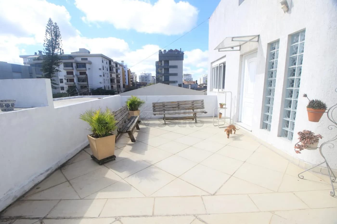 2aeftf-pelotas-casa-padrao-centro-24-09-2025_11-32-56-17.webp