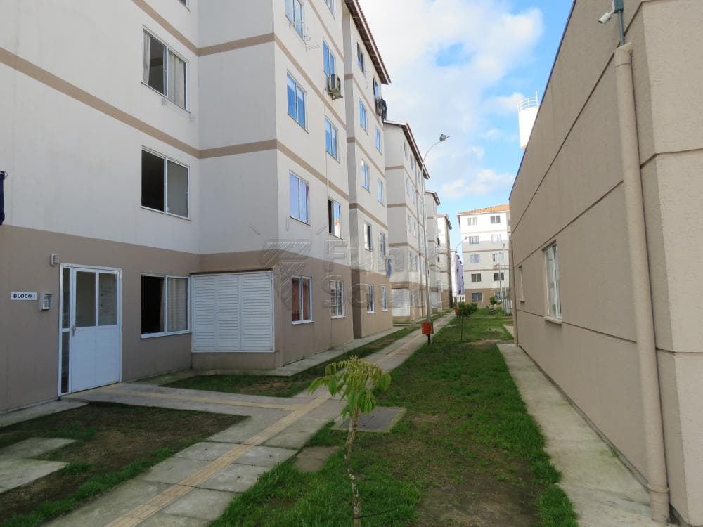 2gcgjo-pelotas-areal-tulipa-manoel-antonio-peres-02-10-2021_00-01-23-9.jpg