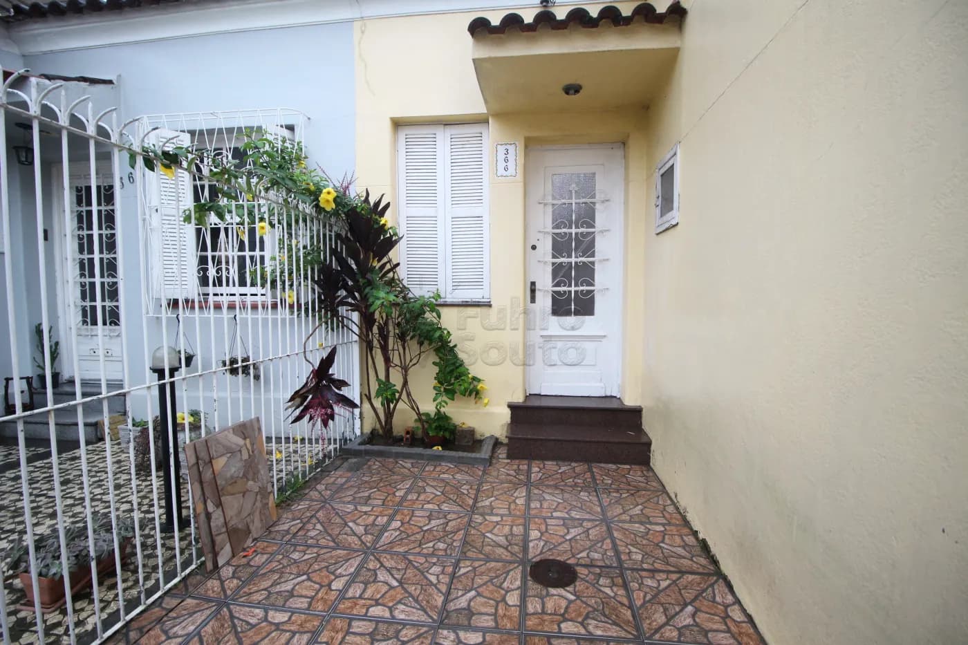 31np2s-pelotas-casa-padrao-centro-04-05-2024_23-00-29-36.webp