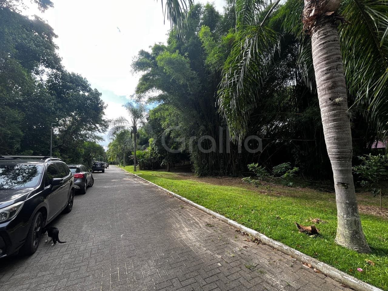 34xn8-iAqK27FK1uvpj8G62o3H7_41395695d722fc6634.jpg