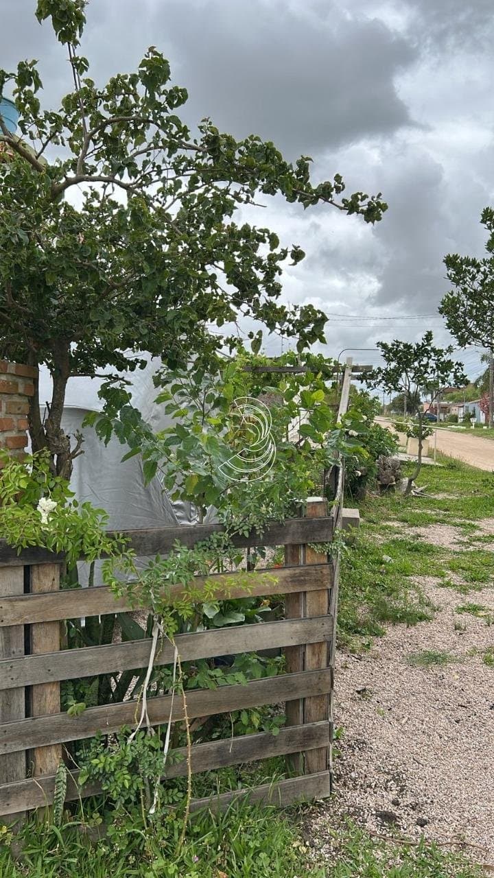 Foto do anúncio número 5
