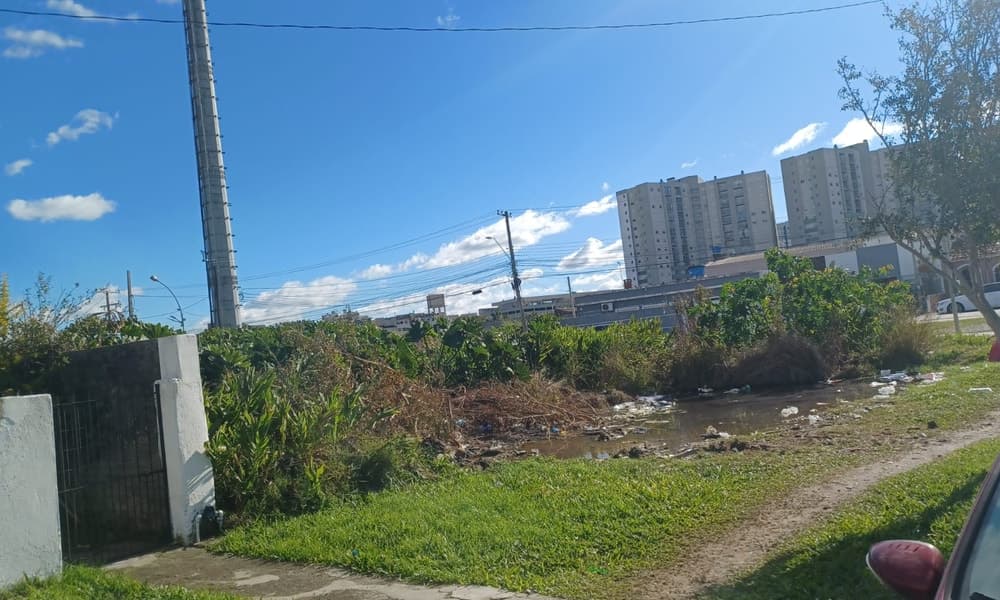 Imagem do anúncio 5