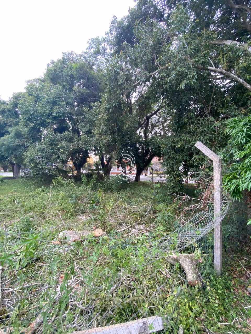 Foto principal do anúncio