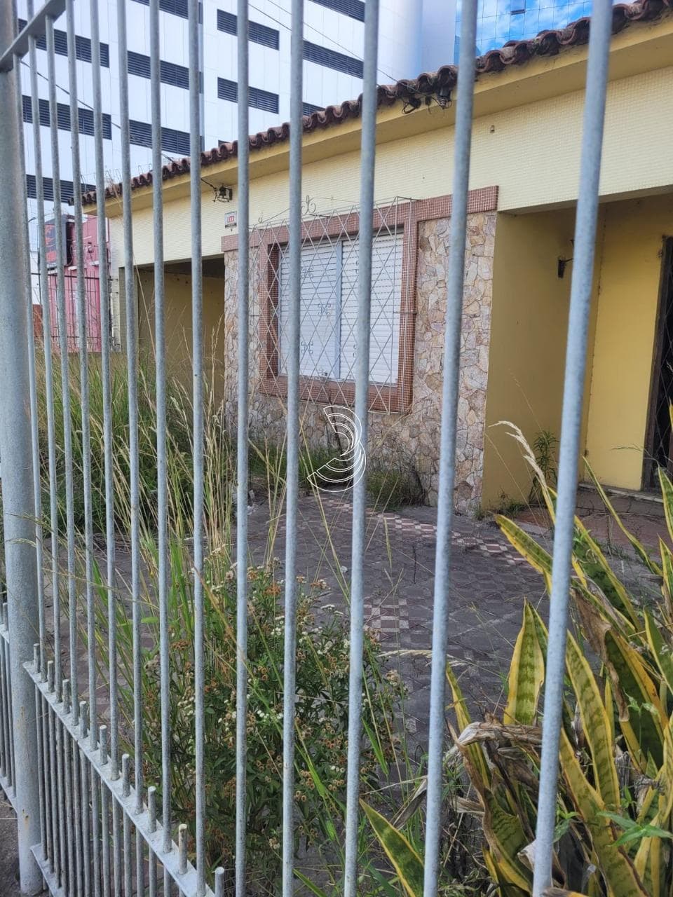 Foto do anúncio número 3