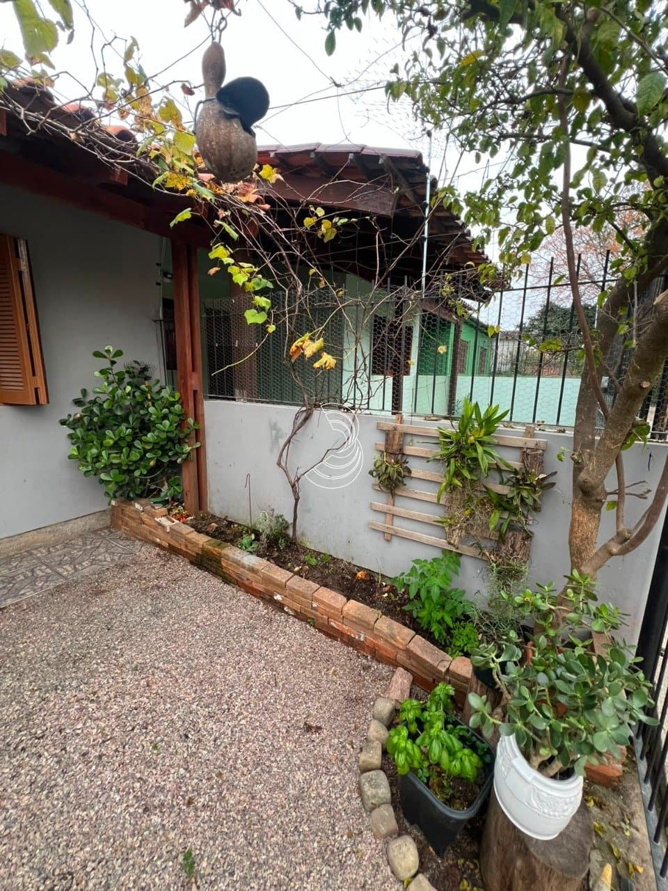Foto do anúncio número 5