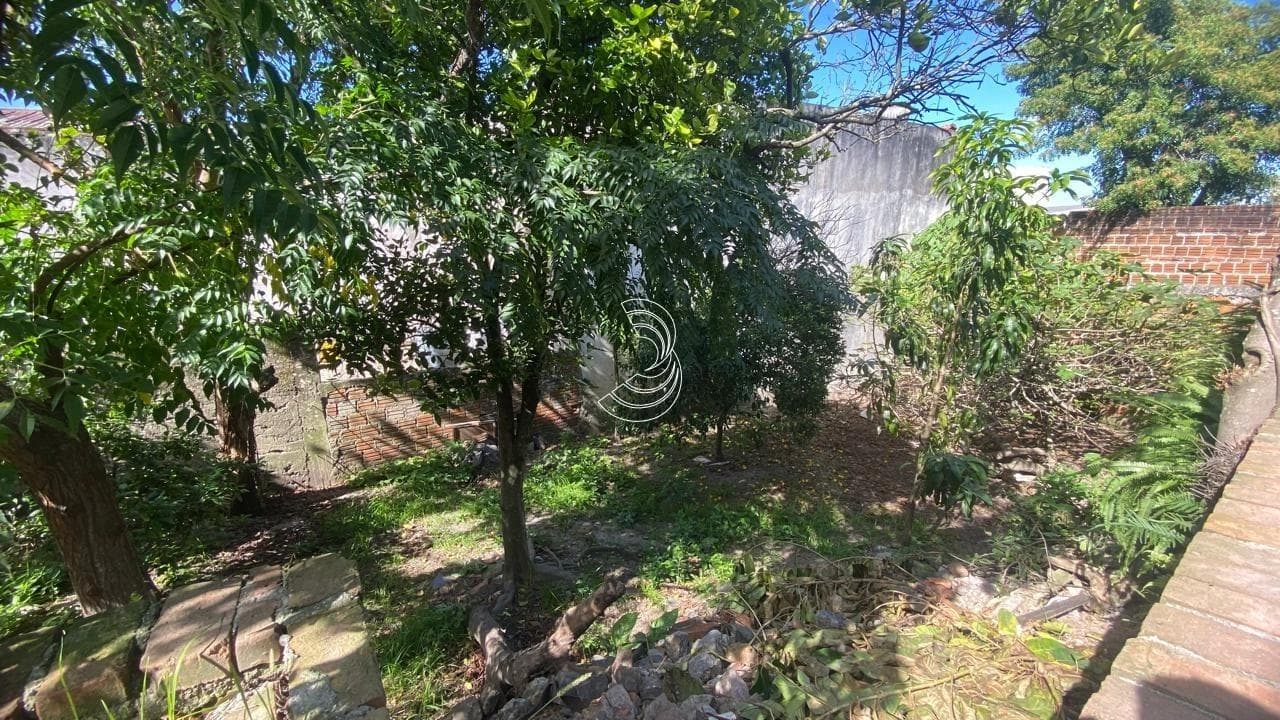 Foto do anúncio número 3