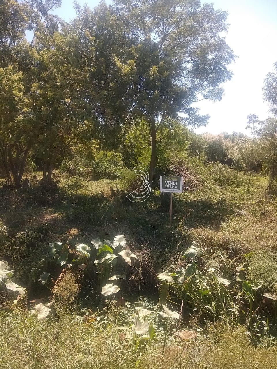 Foto do anúncio número 2