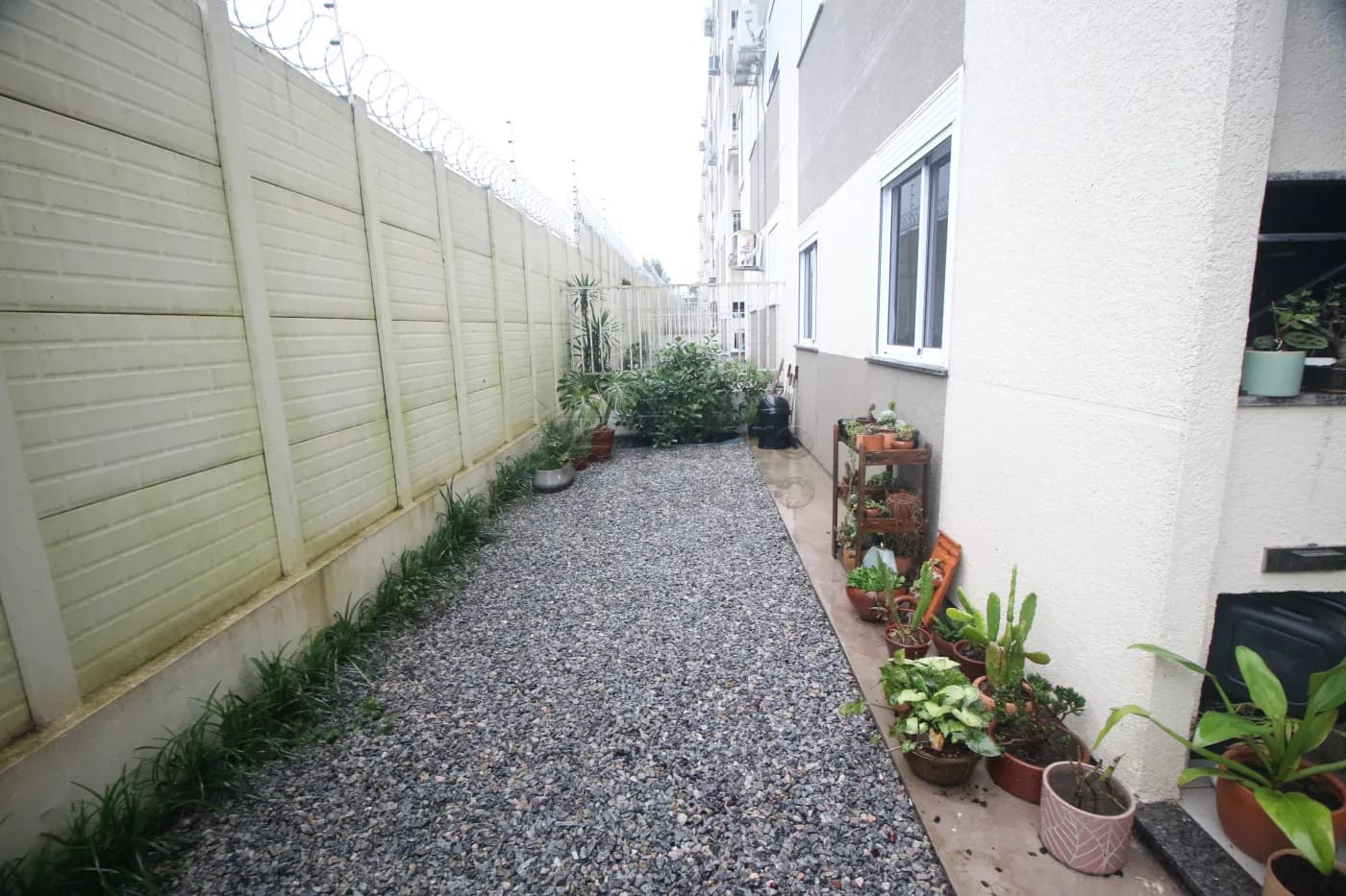 839a1-pelotas-apartamento-padrao-areal-25-09-2024_00-54-02-7.webp