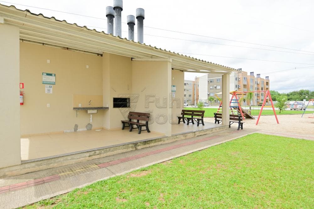 8954-pelotas-sao-goncalo-maria-clara-reserva-umuharama-1794-19-10-2024_11-51-10-7.jpg