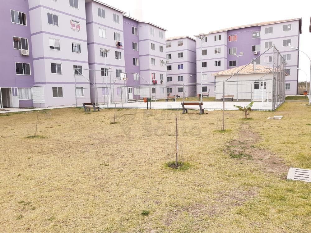 8c80mn-pelotas-areal-residencial-violeta-16-06-2021_18-48-10-6.jpg