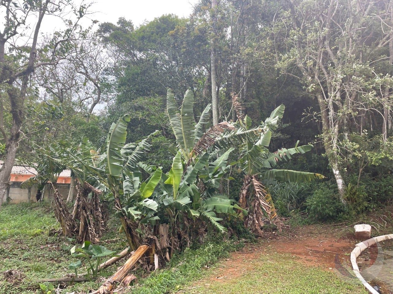 Foto do anúncio número 2