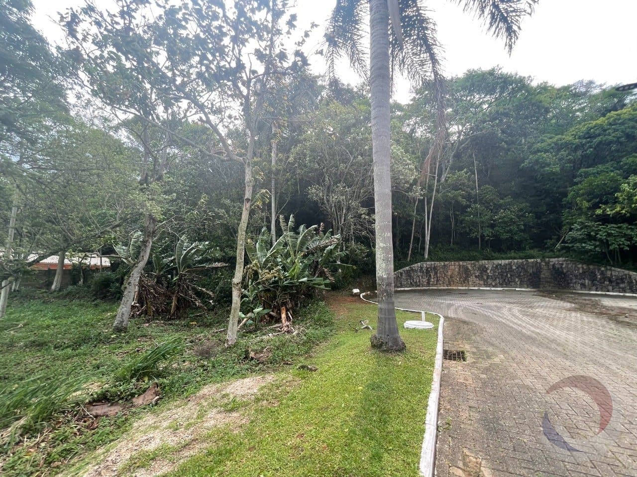 Foto do anúncio número 5