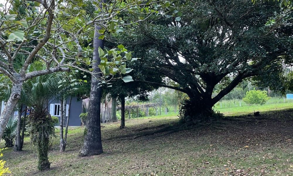 Imagem do anúncio 2