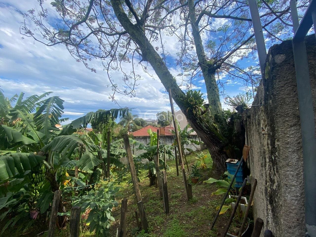 Foto do anúncio número 4