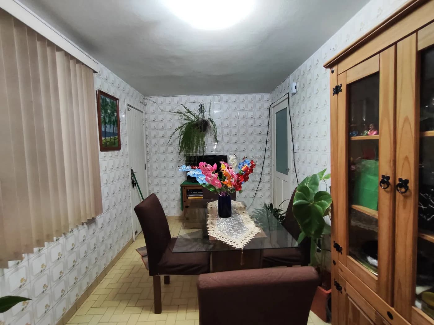 adpfks-pelotas-casa-padrao-centro-02-04-2024_17-35-07-9.webp